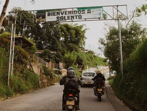 4 Day Coffee and Cocora Guided Motorcycle Tour in the Salento Region of Colombia