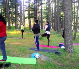 30 días de retiro para redescubrirte y transformar tu cuerpo, mente y alma en Dharamshala, India - Photo 3