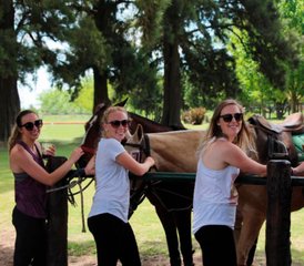 82 Daagse HorseCaring-ervaring in Capilla del Señor, provincie Buenos Aires - Photo 1