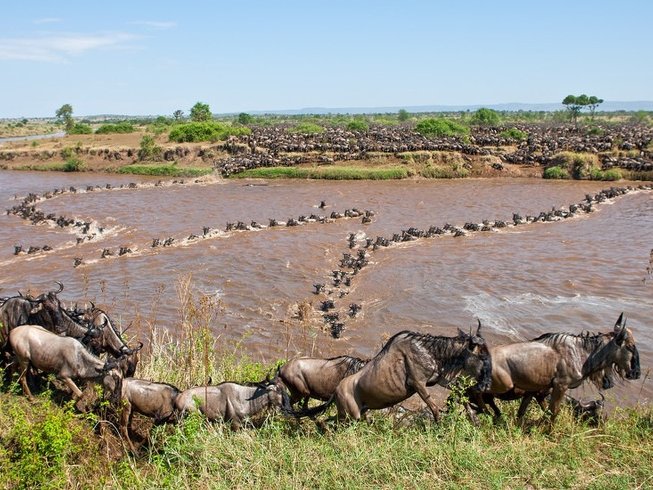 8 Days Thrilling Safari Tour In Kenya - BookAllSafaris.com