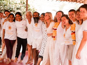 26 Days 200-Hour Yoga Therapy Teacher Training in India, Goa