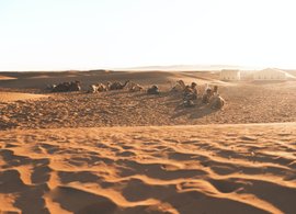 Zagora Retreats & Trips