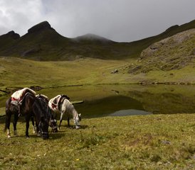 3 Day Off-The-Beaten-Path Horseback Riding Tour to Machu Picchu in Peru - Photo 2