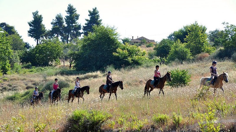 5 Tage Reiturlaub in Nord-Euböa, Griechenland mit Blick auf die Ägäis und das Festland