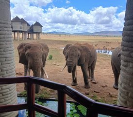 3-Daagse Begeleide Safari Tsavo East en Taita Hills in Kenia - Photo 2