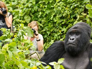 6-Daagse Safari in Rwanda