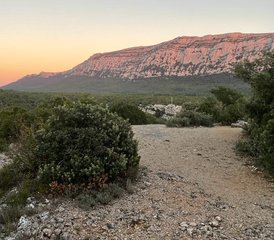 2 jours en stage de yoga, méditation, plantes et chamanisme dans le Var - Photo 3