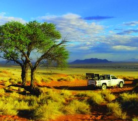 6 días de safari privado en Etosha, Swakopmund y Sossusvlei con excursión por el desierto en Namibia - Photo 5