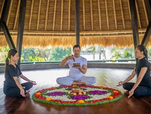 5 Day Detox Retreat with Plant-Based in Ubud, Indonesia
