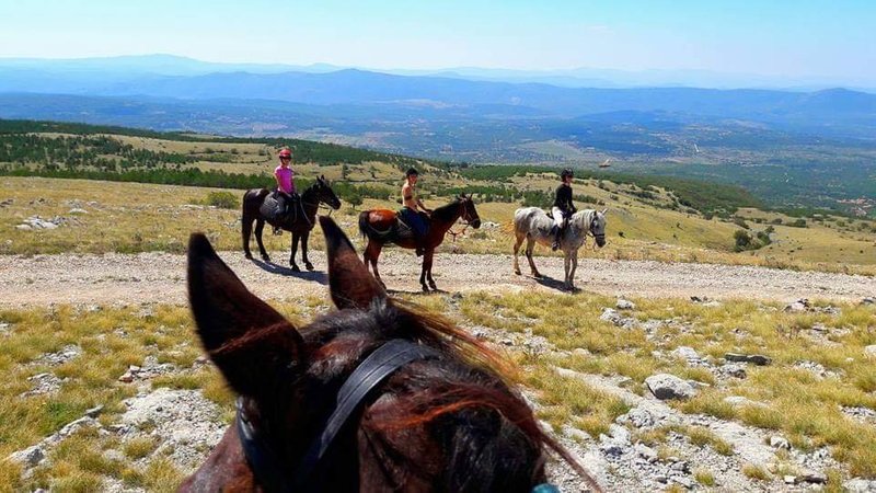 8 Day Trail Dalmatian Hinterland Mountain Horse Riding Holiday in Donje Ogorje, Muc