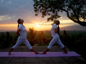 6 Day Zen Ayurveda Rejuvenating Yoga Holiday in Buleleng, Bali