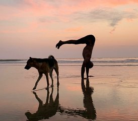 25 jours-200h en formation de professeur de yoga ashtanga vinyasa traditionnel à Agonda, Goa, Inde - Photo 3