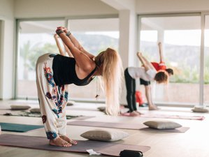 23 Day 200-Hour Hatha Vinyasa Yoga Teacher Training in Cyprus