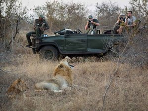 3 Day Adventurous South African Safari in Kruger National Park in a Mid-range Glamping Tented Camp