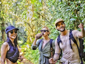 4 Day Luxury Tropical Rainforest, Yoga, and Wellness Retreat in Bali, Indonesia