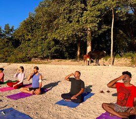 321 Day Yoga and Meditation Retreat in the Himalayas, India - Photo 1
