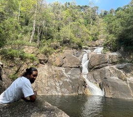 8 días de retiro detox ayurvédico y de yoga con meditación cerca de Varkala, Kerala, India - Photo 5