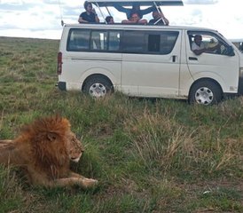 82 Tage Übernacht-Safari im Tsavo East von Diani Beach oder Nairobi in Kenia - Photo 1