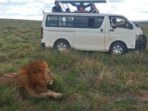 2 Day Overnight Safari to Tsavo East From Diani Beach or Nairobi in Kenya
