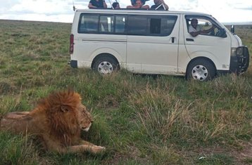 2 Tage Übernacht-Safari im Tsavo East von Diani Beach oder Nairobi in Kenia