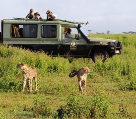 10 Tage Beste Kenia Big Five Private Wildlife-Safari - Photo 3
