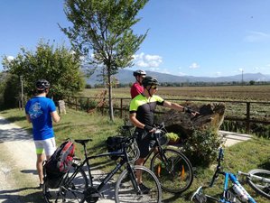 7 Day Treasures of the Green Valley: Self-Guided Cycling Tour Through the Umbra Valley, Italy