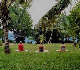 3 Day Meditation, Excursion and Yoga Retreat in Bentota, Sri Lanka - Photo 5
