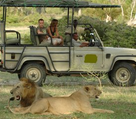 6 jours en stage de safari en Tanzanie dans les parcs nationaux de Lake Manyara, Tarangire, Ngorongoro et Serengeti - Photo 5