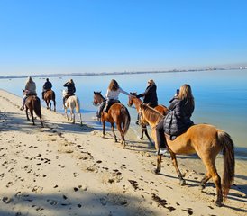 43 Tage Reitabenteuer für Zwei an den Stränden von Gaio-Rosário, Lissabon, in Portugal - Photo 1