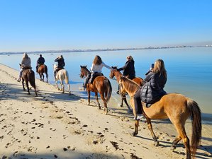 3 Day Horse Riding Holiday on the Beach in Gaio-Rosário, Lisbon, Portugal