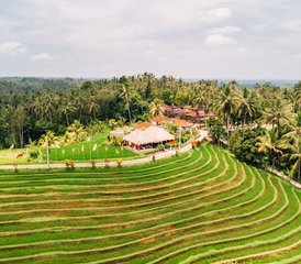 7-Daagse Balinese Cultuur-, Natuurverkenning- en Persoonlijke Ontwikkeling Yoga Retreats in Bali, Indonesië - Photo 3