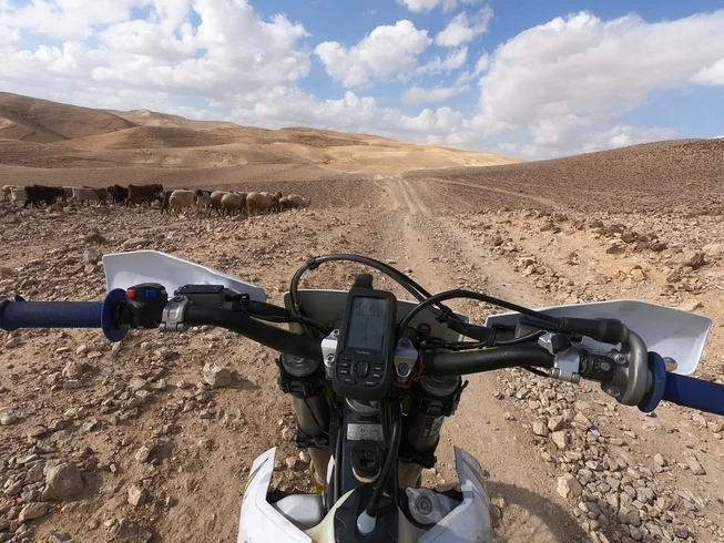 7 Day Guided Motorcycle Tour in the Holy Land, Israel photo 10