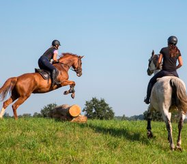 7 jours de saut d’obstacles et vacances équestres à Galiny, Gmina Bartoszyce, Pologne - Photo 4
