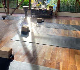 7 días de retiro de yoga en la selva tropical en El Castillo, provincia de Alajuela, Costa Rica - Photo 2