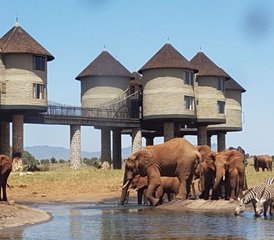 2-Daagse Aberdare National Park Luxe Lodge Safari - Photo 4