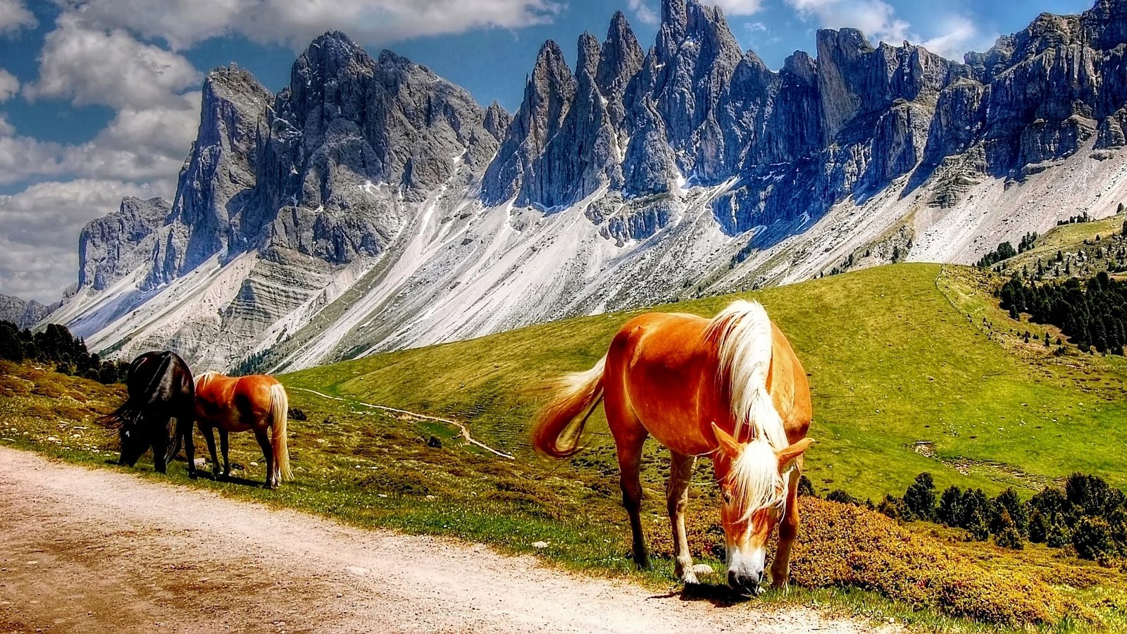 Top 10 Horse Riding Holidays In Canada