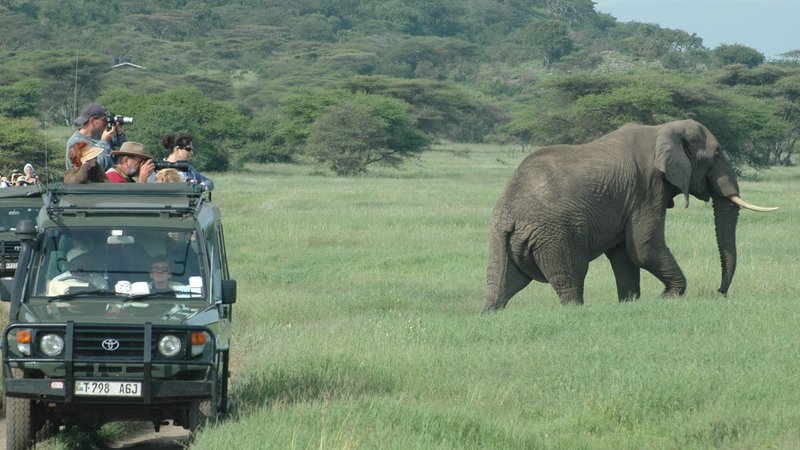 4 días de safari en Tanzania con paseo en bote, caminata y en coche por la Reserva de Caza Selous