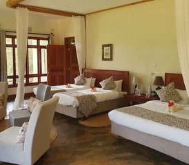 4-Tage-Safari in Nord-Tansania: Erkunden Sie den Lake-Manyara-Nationalpark, den Tarangire-Nationalpark und den Ngor - Photo 4