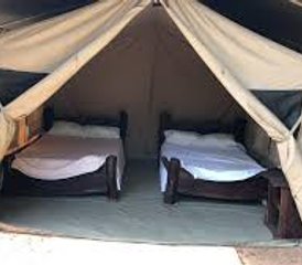 3 Day Samburu Wildlife and Cultural Adventure in Kenya - Photo 5