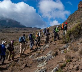 13-Daagse Kilimanjaro Trektocht met Safari in Tanzania - Photo 2