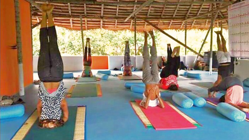 28 jours-200h de formation de professeur de hatha yoga et ashtanga vinyasa dans le Kerala