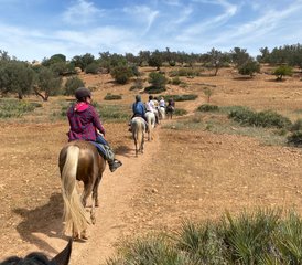 7 jours de randonnée équestre Cavalcade au cœur d’Essaouira au Maroc - Photo 5