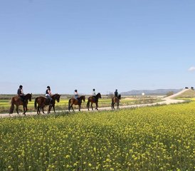 57 Tage Außergewöhnlicher Reiturlaub in Málaga, Andalusien, Spanien - Photo 1