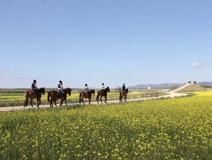 7-Daagse Buitengewone Paardrijvakantie in Malaga, Andalusië, Spanje