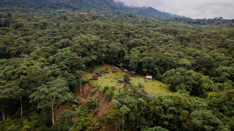 8 jours en retraite d’ayahuasca indigène à Putumayo, Colombie