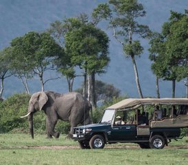 5 jours le meilleur safari en Tanzanie en 4x4 Land Cruiser, Tanzanie - Photo 5