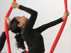8 días de formación de profesorado de yoga aéreo de 50 horas en Mysore, India