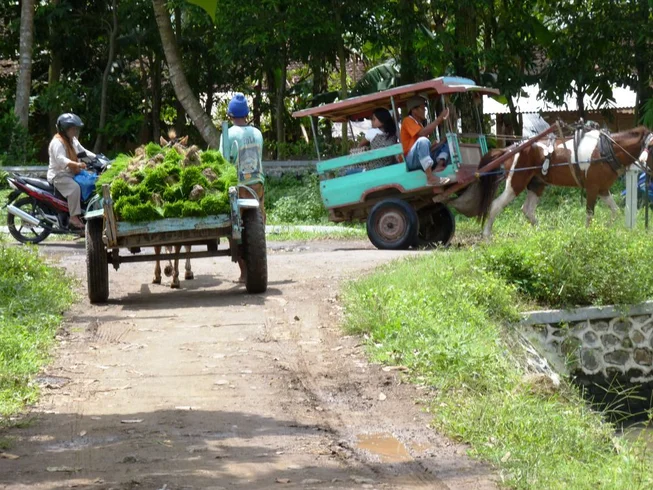 22 Day Bali Flores Guided Motorcycle Tour in Indonesia photo 9