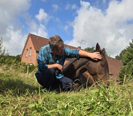 3 jours en stage privé d’équitation consciente : conscience et connexion en mouvement en Allemagne du Nord - Photo 3
