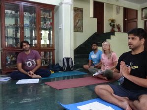 Online Self-Paced 100-Hour Somatic and Yin Yoga Teacher Training Course